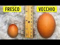 Se ti Piacciono i Fatti Inutili, Allora devi Guardare questo Video