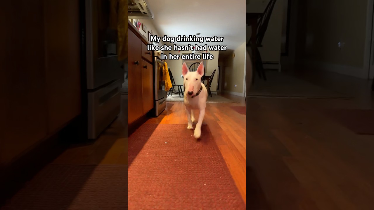 Bro was thirsty 🤤 