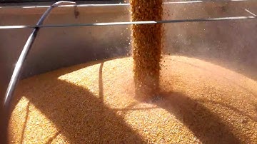 Loading Hopper With Corn (400lbs/sec)