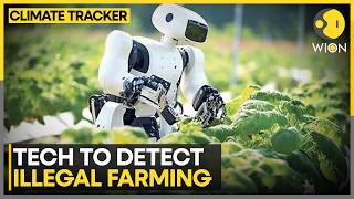 New Tech Tracks Illegal Deforestation Through Soybean Supply Chains | WION Climate Tracker