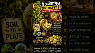 ये फल खुद को glue में क्यों बदल देता है? | Lasora Science #Lasora #FoodScience