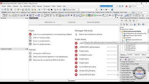 install Raize Components 6 in delphi  10.1 Berlin