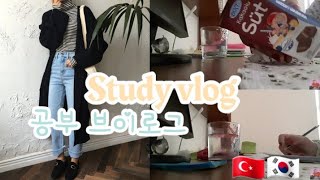 VLOG | midnight study ? *Turkey study with me ???? 공부 동기 부여 연설