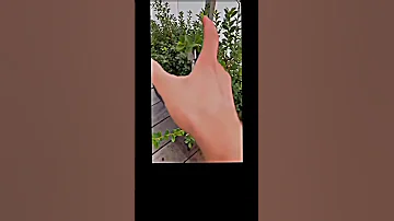 ترند الوجه الابيض الضحك 