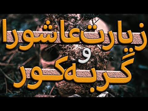 دبل داستان ترسناک و واقعی زیارت عاشورا و گربه کور