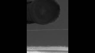 Video ESM 1