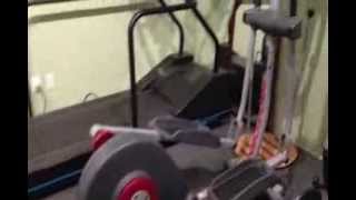 The Wellness Gym