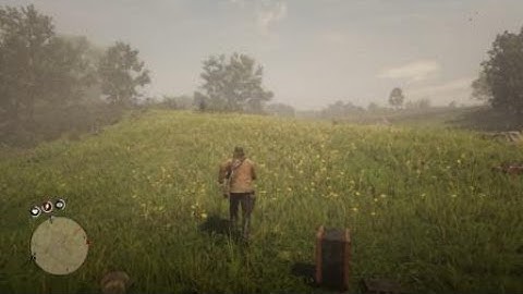 Red Dead Redemption 2|How to open safe without shooting safe| Random event