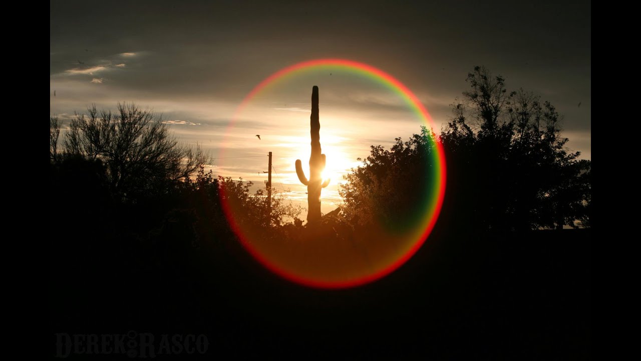 Arizona