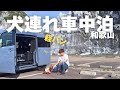 【犬連れ車中泊】愛犬を連れて和歌山方面を観光、車中泊