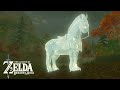 7(secretly 11) INCREDIBLE Horse Glitches Zelda Breath of the Wild