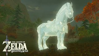7(secretly 11) INCREDIBLE Horse Glitches Zelda Breath of the Wild
