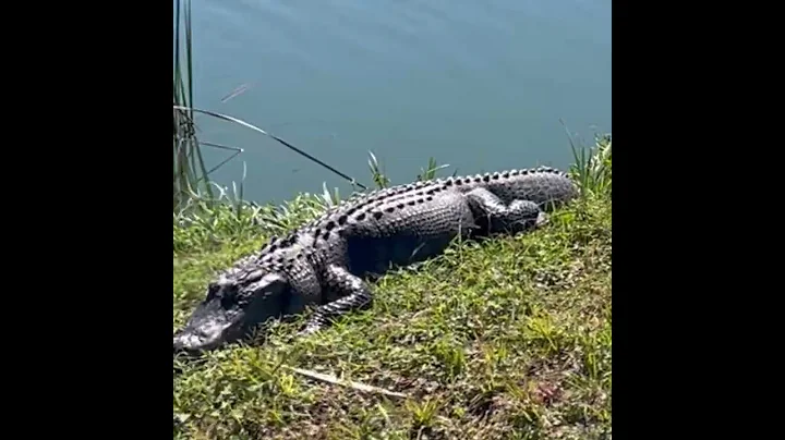 Streamsong Review