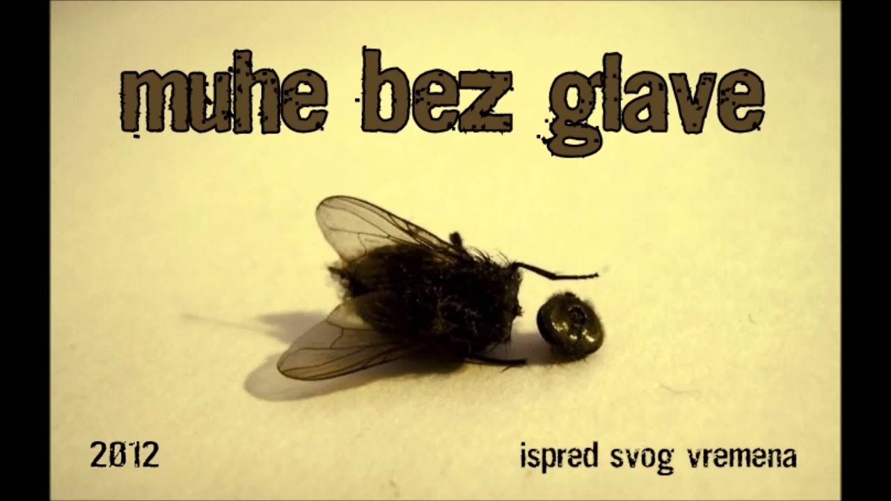 Muhe Bez Glave - Old school