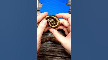 How to use our Striped textures! #polymereclay #handmade #art