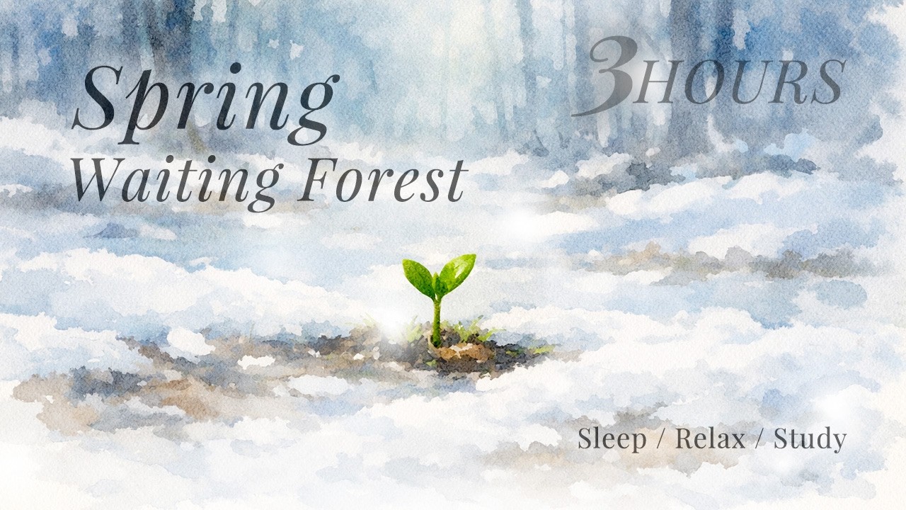 Spring Waiting Forest — Sleep & Relax Piano (3H)春を待つ森｜睡眠・リラックス用ピアノBGM 3H