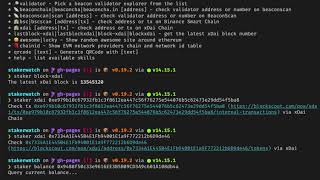 Explore xDai chain with the staker command