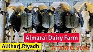 Almarai Dairy Farm | Final Part | Almarai Dairy Production Plant |  AlKharj, KSA On 25th Sep 2022