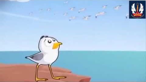 His First Flight (Animated Video)