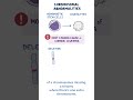 Chronic leukemia