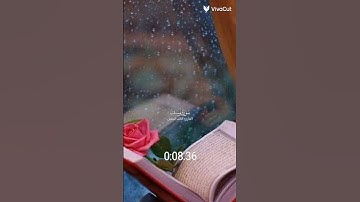 فقط استمع الي إلي القران الكريم #راحة_نفسية 🥺💓