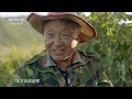 《乡土中国》 20201128 《源味中国》 第五集 繁衍|CCTV农业