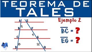 Teorema de Tales | Ejercicio de aplicación 2
