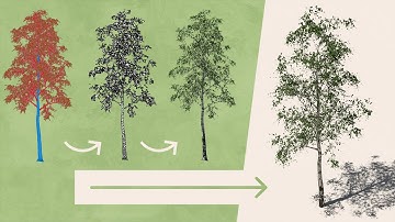 Working with 3D Trees - Rhino 7 and VRay Proxy