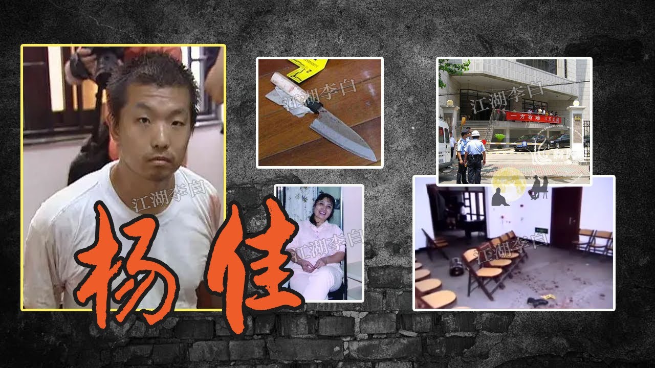 杨佳袭警案[下]，单刀7秒杀4警，全程细节大还原，不承认自己行凶杀人，只说过来看看，此案震惊全世界，被记入历史，杨佳犯罪根源深度解析 ...