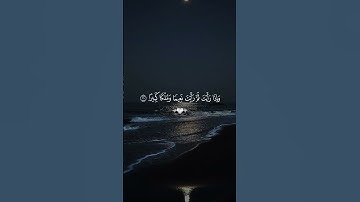عينا فيها تسمى سلسبيلا ❤️⚘️ القارئ محمد اللحيدان 🤍⚘️ #محمد_اللحيدان #قران_كريم #قران