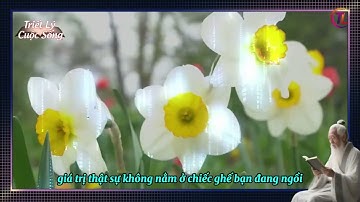 11 Lời Nhắn Nhủ Xương Máu Gửi Người Tuổi 35+ Cần Khắc Cốt Ghi Tâm