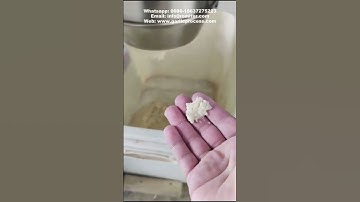 Automatic Garlic Paste Making Machine-How to Make Garlic Paste