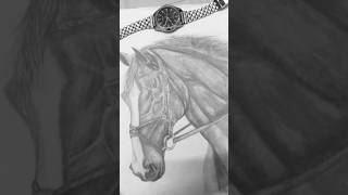 horse sketch #2026 #shortvideo #skills #drawing #2025 #art #onepiece #shorts #shortclip #offical