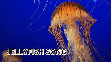 Jolly Jellyfish Jamboree: Sing-Along Song for Kids on YouTube