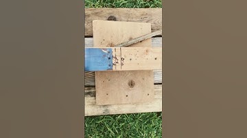 Recoil Reduction, Lee