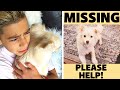 WE FOUND a MISSING PUPPY! **WE CAN'T BELIEVE IT** | The Royalty Family