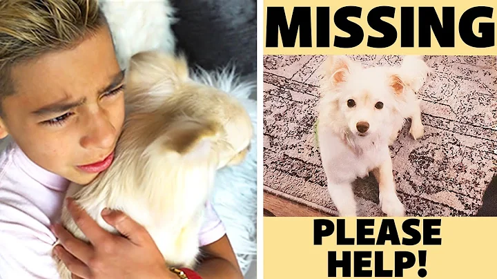 WE FOUND a MISSING PUPPY! **WE CAN'T BELIEVE IT** | The Royalty Family