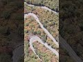 WE THOUGHT IT WAS GOING TO KILL US | BIGFOOT ENCOUNTERS FROM NORTHERN GEORGIA!!! #bigfoot