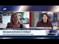 Michigan democratic primary: race viewed as microcosm for democratic party stance