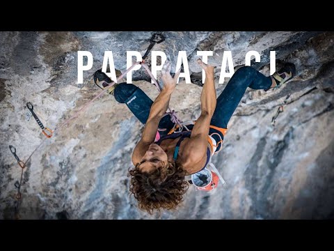 Laura Giunta su Pappataci 8b | Spazio Verticale 310