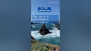 Trí Tưởng Tượng Quan Trọng Hơn Kiến Thức