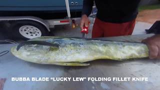 Bubba Blade "Lucky Lew: Folding Knife Filleting a Mahi Mahi