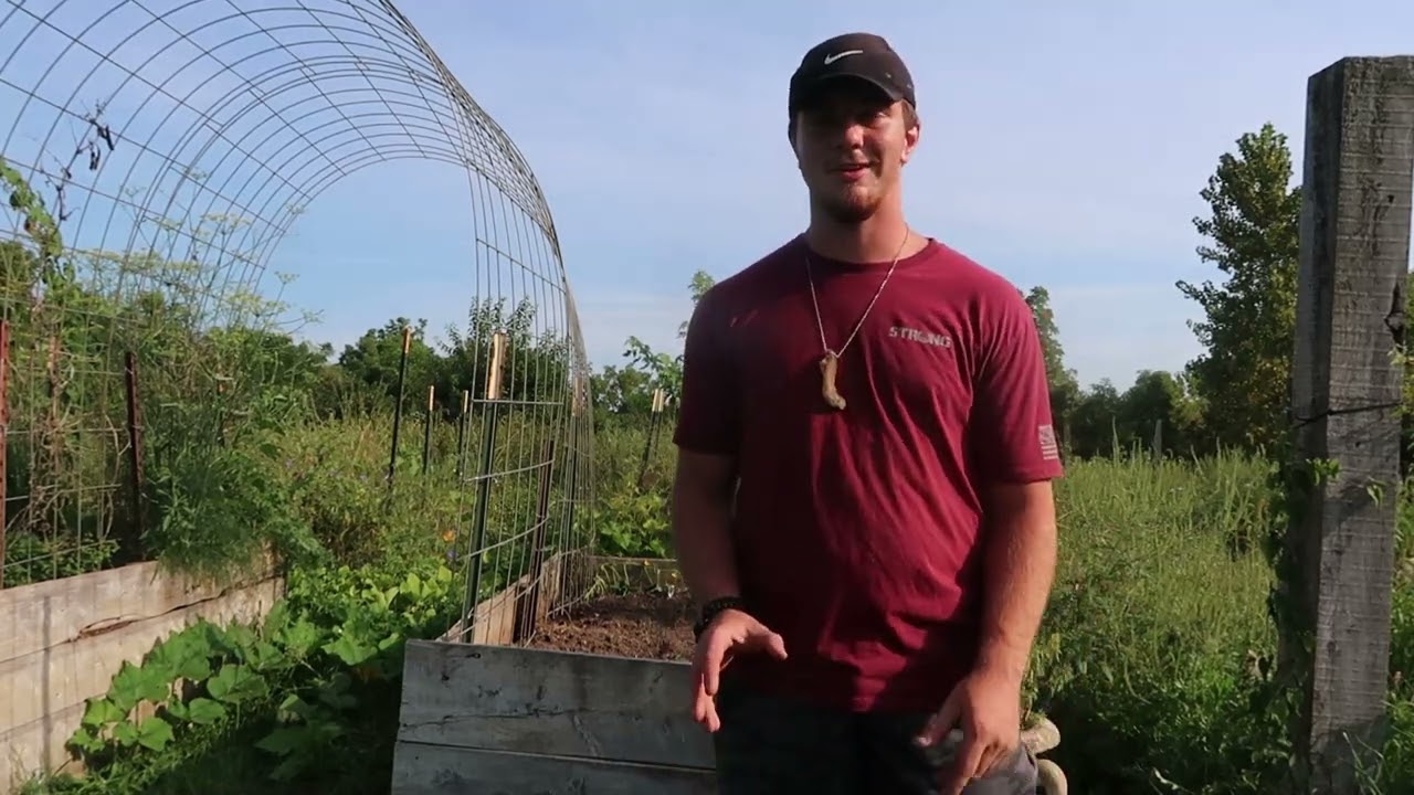 Plant these fall / winter crops now!! | Crooked Row