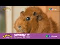 CBeebies United Kingdom Continuity November 25 2022 