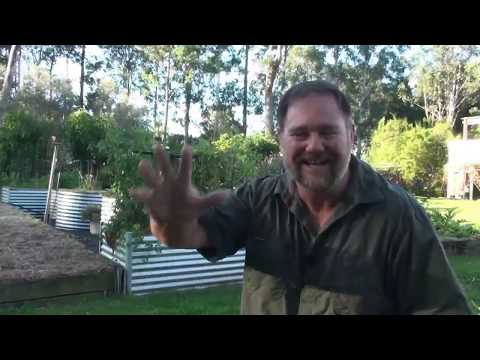 Видео: Как да отглеждаме зеленчуци на хълм
