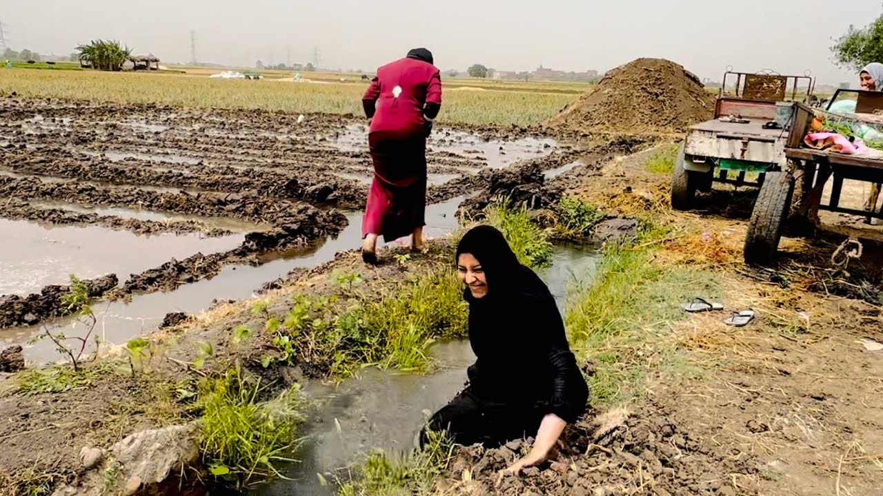 ‏شيء لم يصدق مع بنت الحاج عيد  #بابا_المجال #الريف_المصرى #ضحك