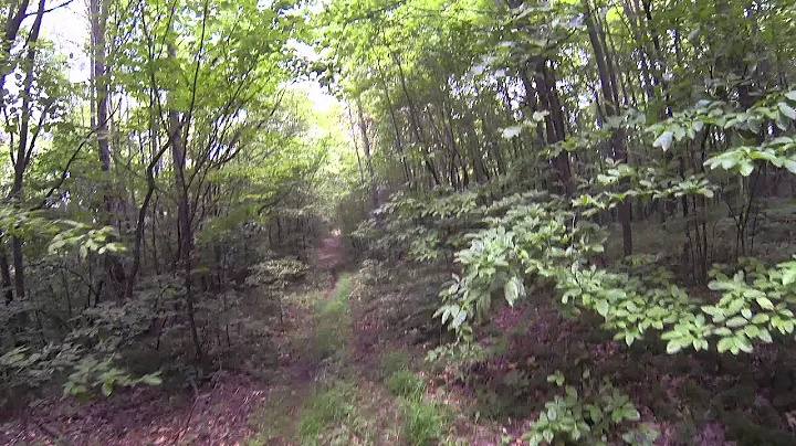 The Ridge on Tranquil Timbers