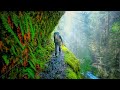 Eagle creek trail  oregon usa  stunning footage