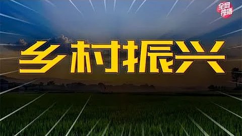 乡村振兴战略，经济压舱石 - 天天要闻