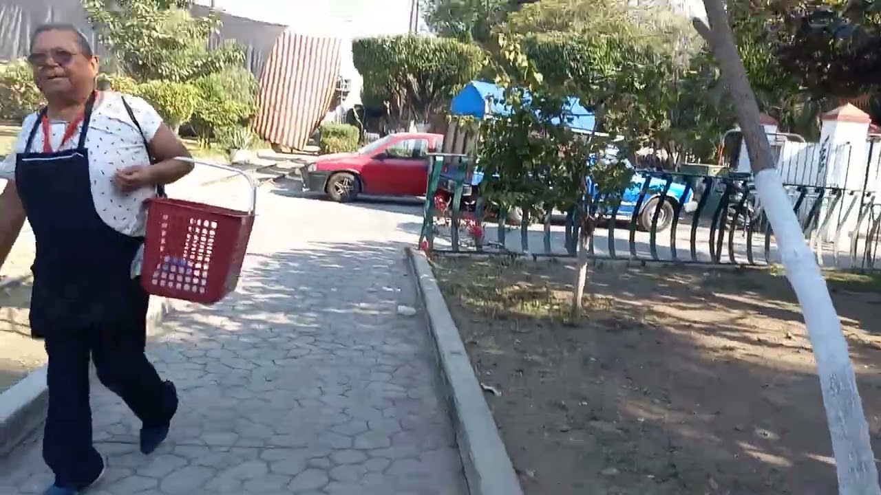 DOmingueando por la alameda